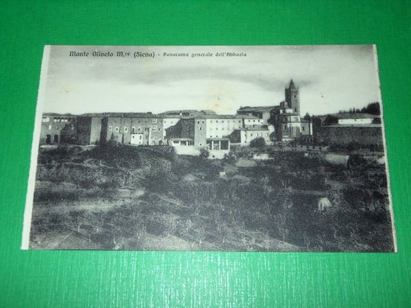 Cartolina Monte Oliveto Maggiore ( Siena ) - Panorama dell' …
