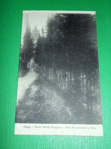 Cartolina Siena - Monte Oliveto Maggiore - Viale che prospetta …