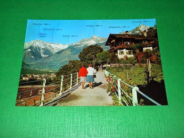Cartolina Merano - Passeggiata Tappeiner 1960 ca.