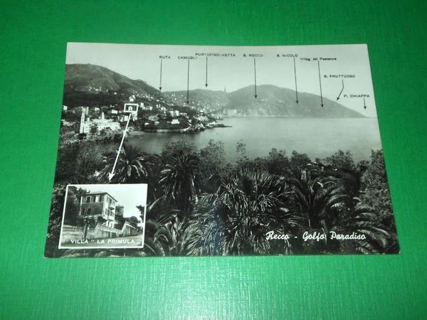 Cartolina Recco - Golfo Paradiso - Panorama - Villa La …