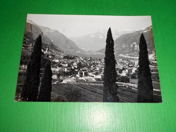 Cartolina Ala ( Trento ) - Panorama 1964