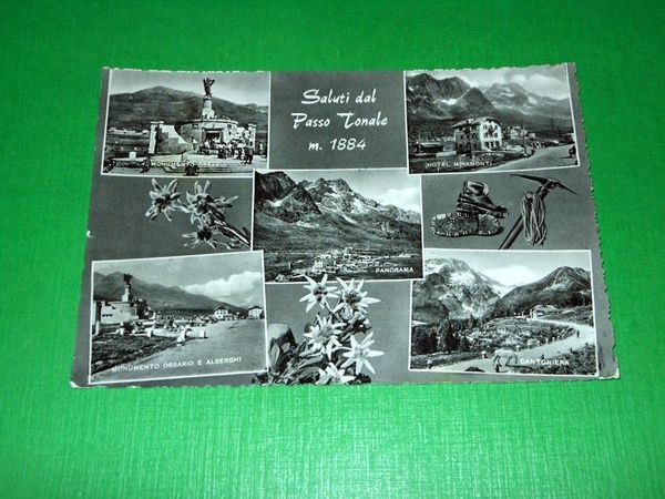 Cartolina Saluti dal Passo Tonale - Vedute diverse 1961