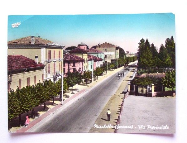 Cartolina Mirabello ( Ferrara ) - Via Provinciale 1960