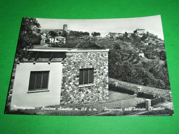 Cartolina Montefiorino - Panorama dall' Istituto Climatico 1957