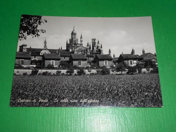 Cartolina Certosa di Pavia - Le celle viste dall'esterno 1960 …