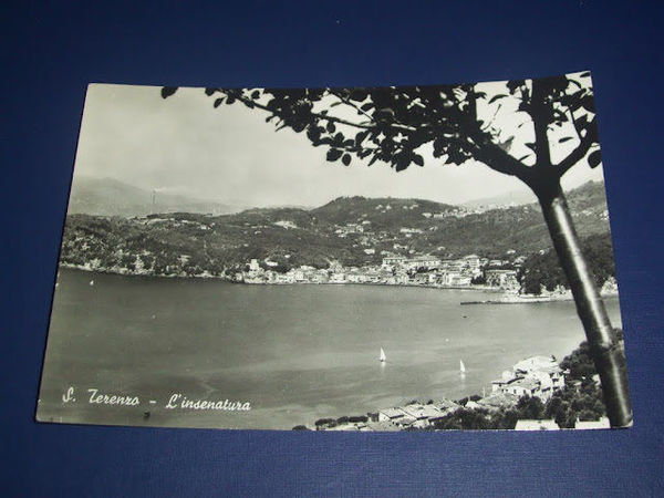 Cartolina S. Terenzo - L' insenatura 1957.