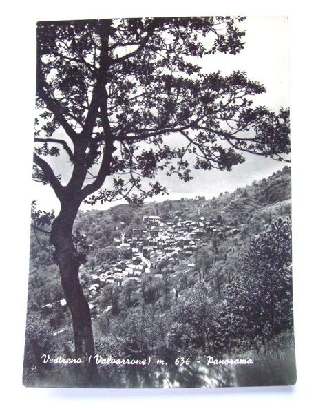 Cartolina Vestreno ( Valvarrone ) - Panorama 1955