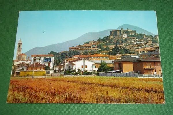 Cartolina Capriolo ( Brescia ) - Panorama e Castello 1975