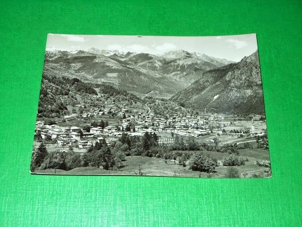 Cartolina Tione di Trento - Panorama - Carè Alto 1953.