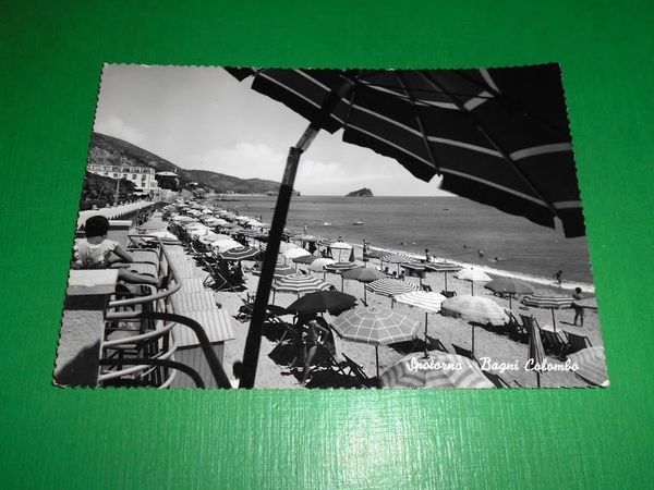 Cartolina Spotorno - Bagni Colombo 1956.