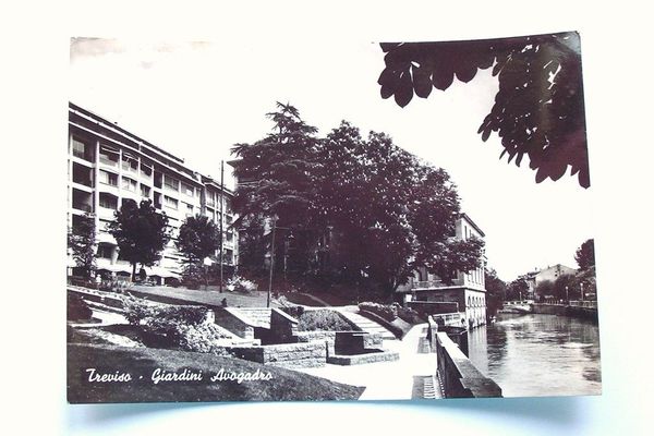 Foto Cartolina Treviso - Giardini Avogadro 1964