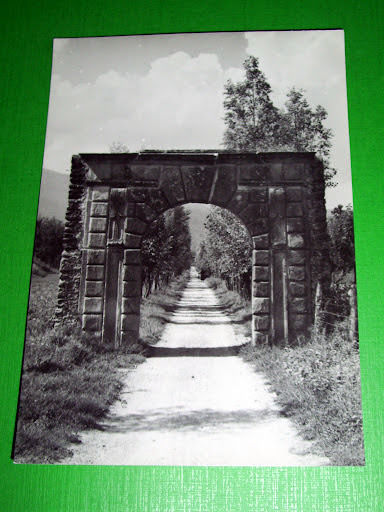 Cartolina Pontremoli - Arco e Viale alla Villa Dosi 1955 …