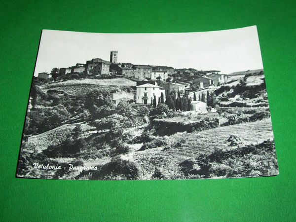 Cartolina Vetulonia ( Grosseto ) - Panorama 1960.