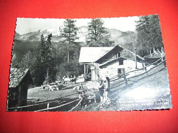 Cartolina Madonna di Campiglio - Rifugio Casenei 1949