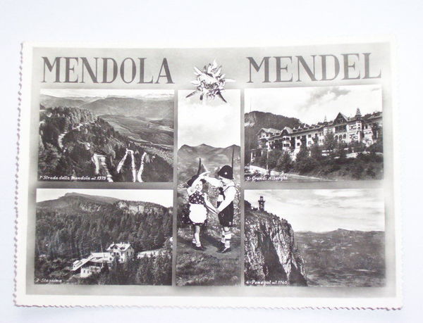 Cartolina Mendola ( Trento ) - Vedute diverse -- 1958