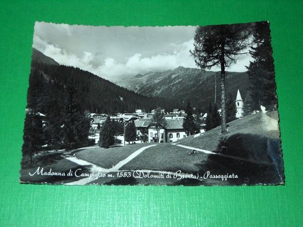 Cartolina Madonna di Campiglio ( Dolomiti di Brenta ) - …