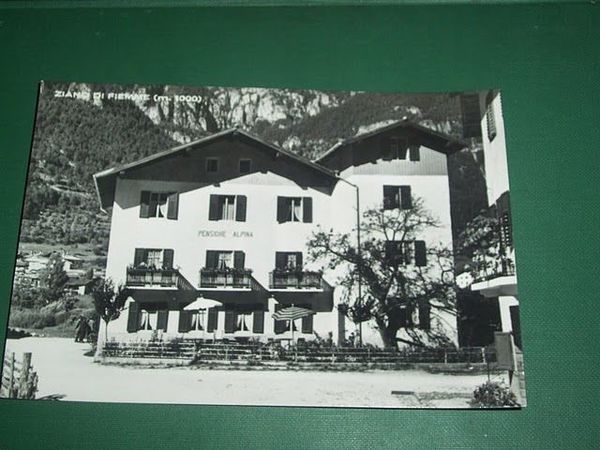 Cartolina Ziano di Fiemme - Pensione Alpina 1950 ca