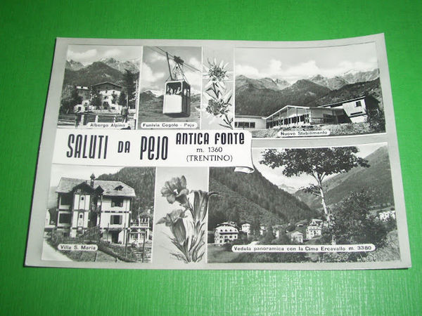 Cartolina Antica Fonte Pejo - Vedute diverse 1963