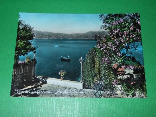 Cartolina Torre del Lago Puccini - Angolo di Sogno 1960 …