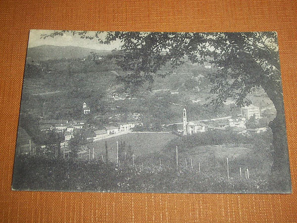 Cartolina Reaglie ( Torino ) - Panorama 1927