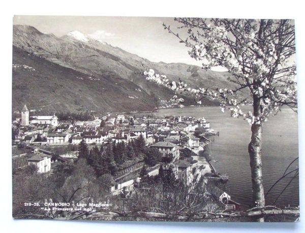 Cartolina Cannobio - Lago Maggiore - Panorama 1957