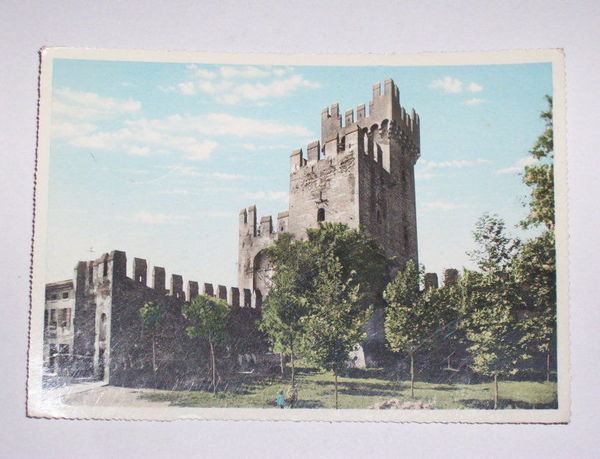 Cartolina Montagnana - Castello degli Alberi 1960