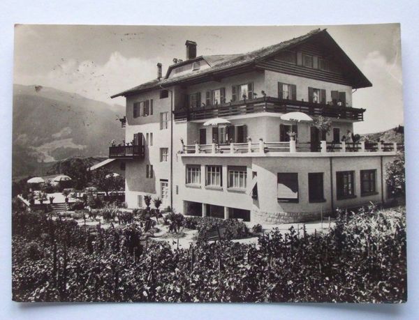 Cartolina Cavalese ( Trento ) - Albergo Azalea 1957