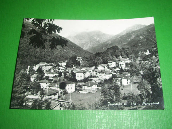 Cartolina Procaria ( Torino) - Panorama 1962