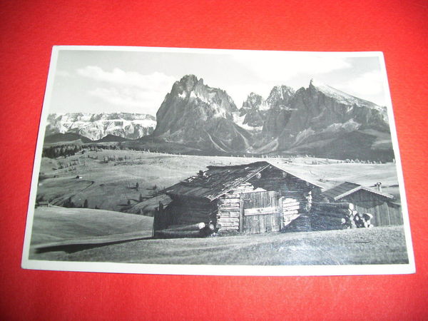 Cartolina Dolomiti - Alpe di Siusi con Sella 1951