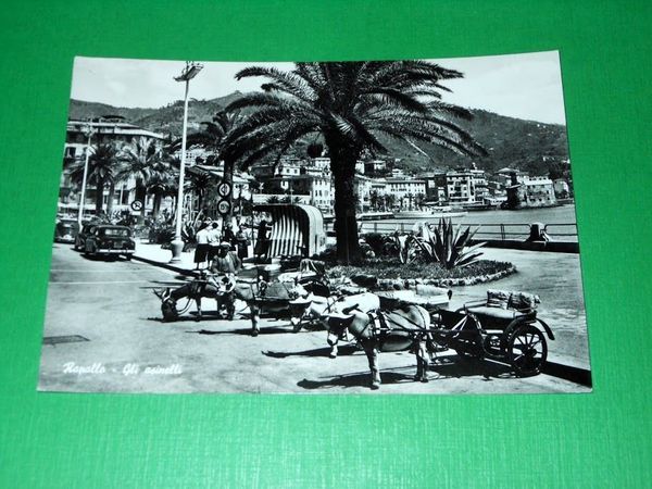 Cartolina Rapallo - Gli asinelli 1959