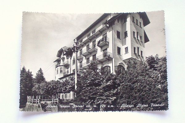 Cartolina Alpino ( Stresa ) Hotel Alpino Fiorente 1962