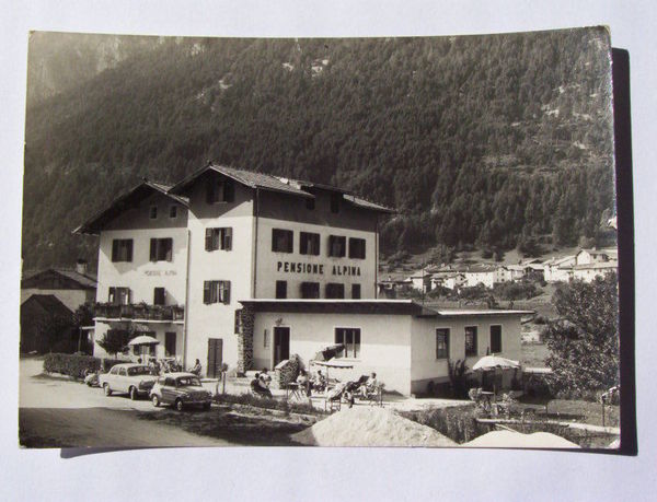 Cartolina Roda ( Ziano ) - Pensione Alpina 1958