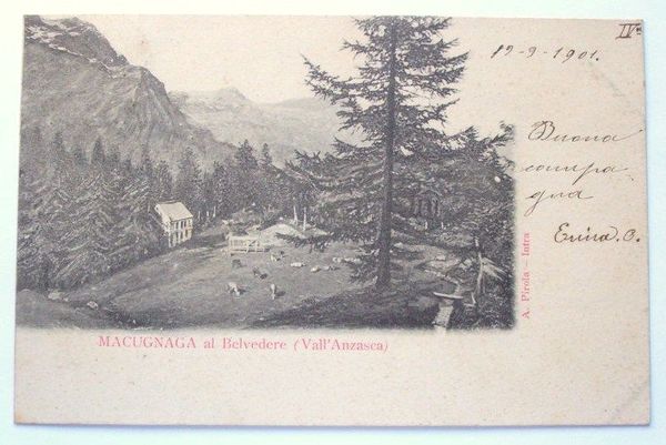 Cartolina Macugnaga al Belvedere ( Vall' Anzasca ) 1901