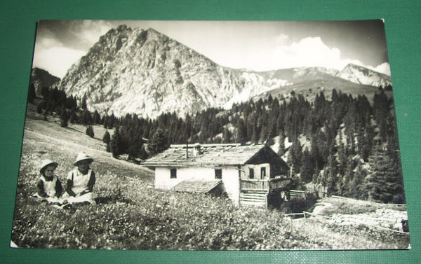 Cartolina Merano - Avelengo - L' Ivigna 1952