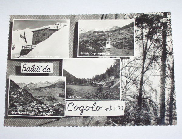 Cartolina Cogolo ( Trento ) - Vedute diverse 1964