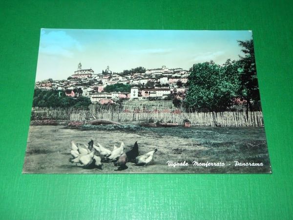 Cartolina Vignale Monferrato ( Alessandria ) - Panorama 1955 ca