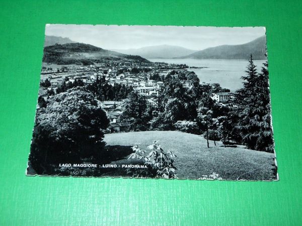 Cartolina Lago Maggiore - Luino - Panorama 1951