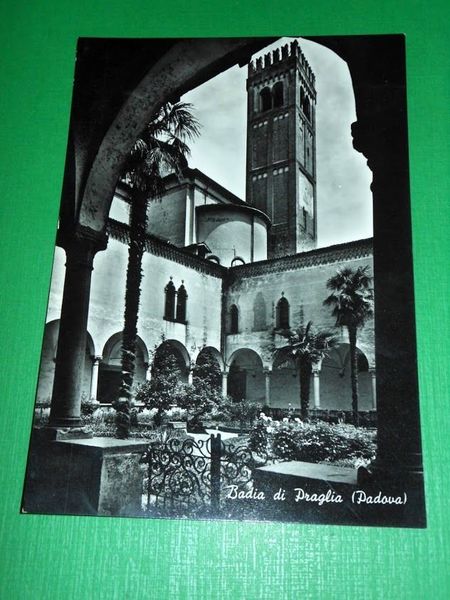 Cartolina Badia di Praglia ( Padova ) - Chiostro botanico …