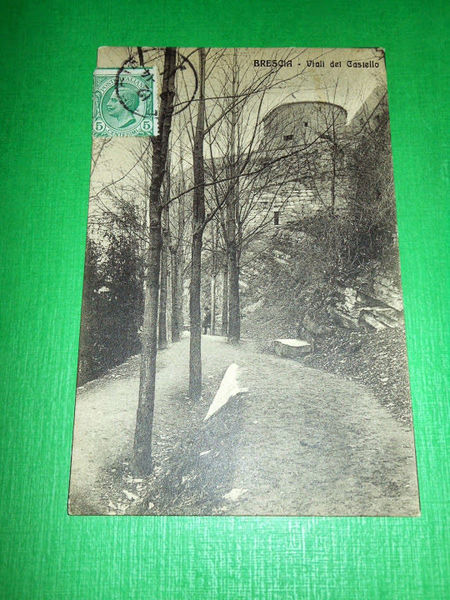 Cartolina Brescia - Viali del castello 1914 *