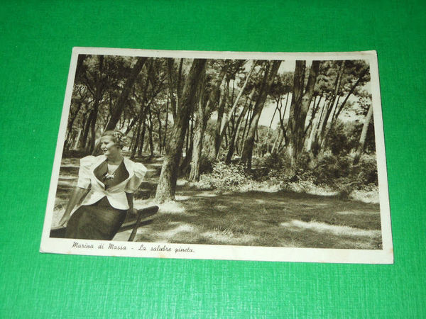 Cartolina Marina di Massa - La salubre pineta 1941