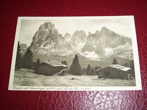 Cartolina Gruppo del Sassolungo dal M. da Sus 1930 ca