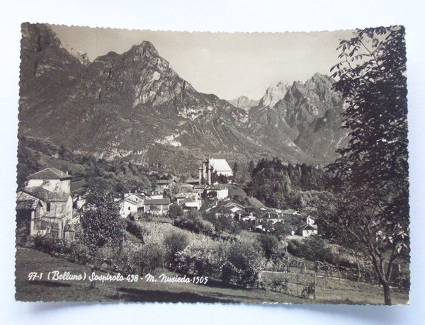 Cartolina Sospirolo ( Belluno ) Panorama M Nusieda 1957