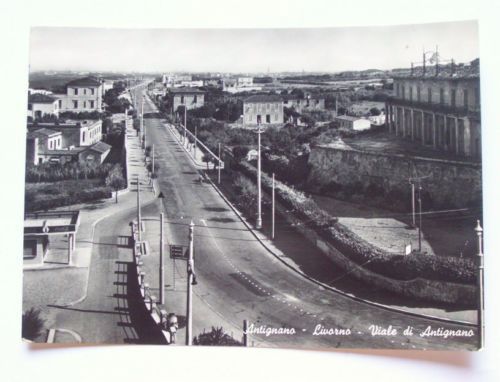 Cartolina Antignano (Livorno) - Viale di Antignano 1956