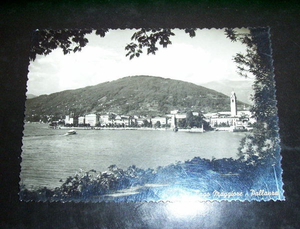 Cartolina Pallanza ( Lago Maggiore ) - Panorama 1958