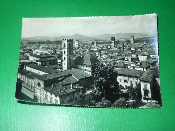 Cartolina Lucca - Panorama 1955