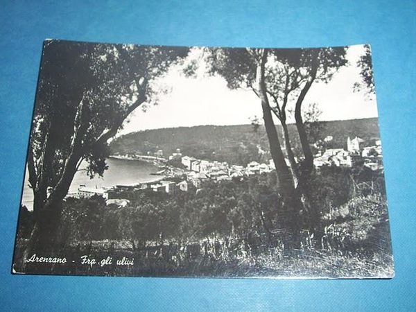Cartolina Arenzano - Panorama generale 1950 ca