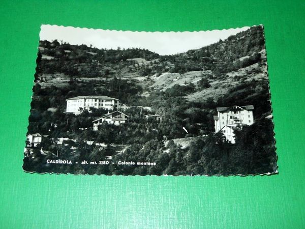 Cartolina Caldirola - Colonia montana 1957