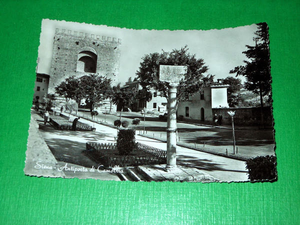 Cartolina Siena - Antiporta di Camollia 1953