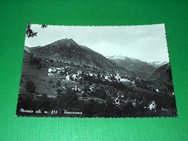 Cartolina Mozzio ( Verbania ) - Panorama generale 1950 ca