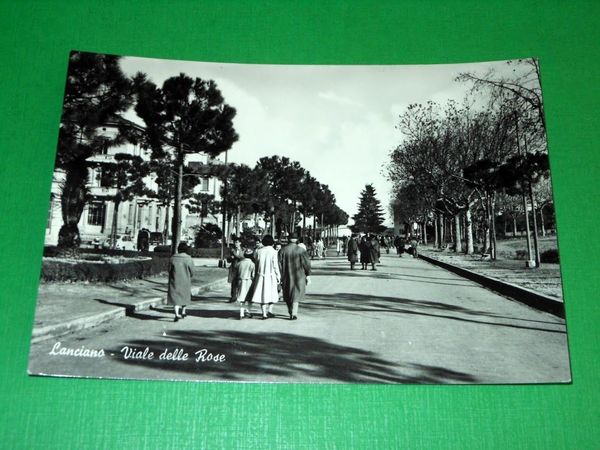 Cartolina Lanciano - Viale delle Rose 1960